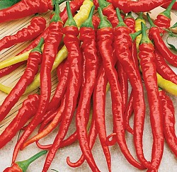 Cayenne Pepper